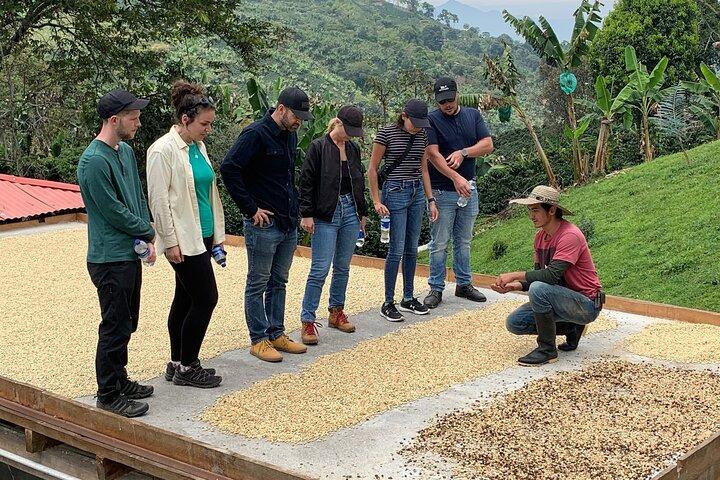 Coffee Tour and Jeep Tour at Finca Mariposa in Jardin