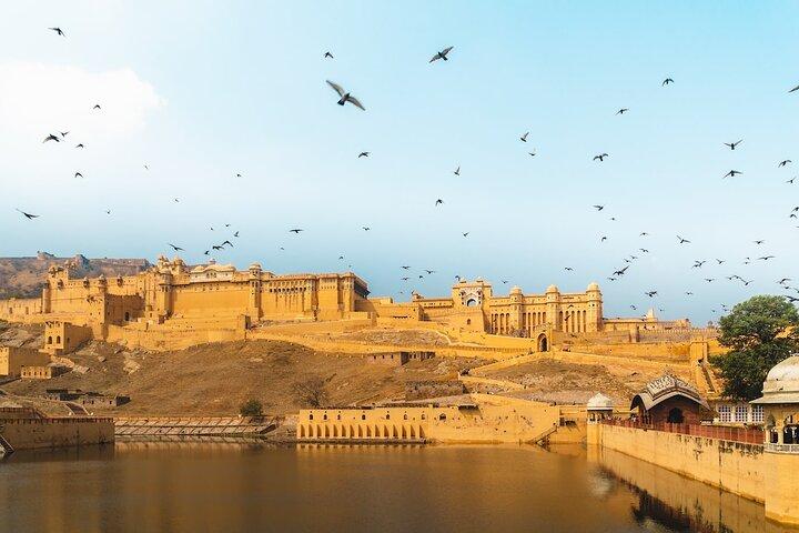 Private Guided Half Day Tour Jaipur