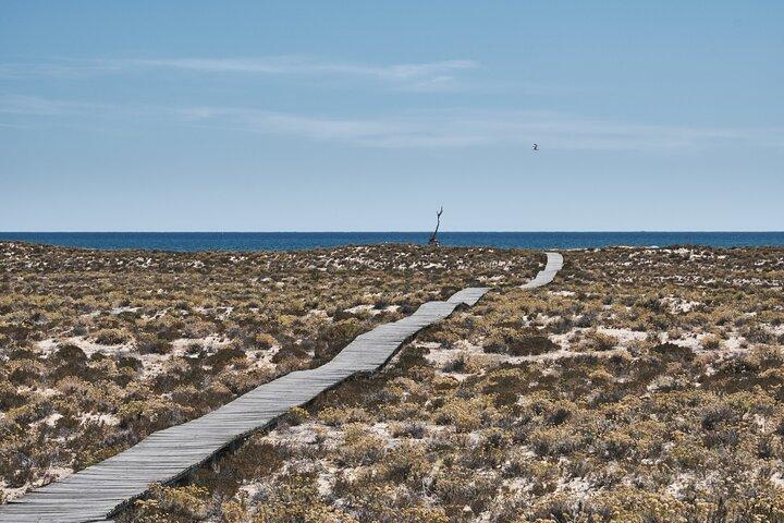 Hop On Hop Off 3 Islands: Deserta, Farol and Culatra