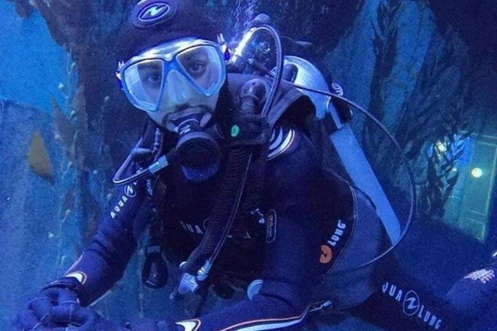 Dubai Aquarium Underwater Zoo with Penguin Cove Entry Tickets