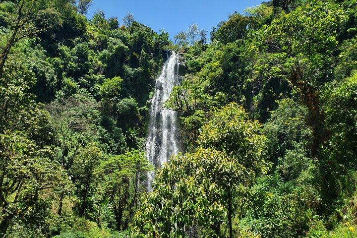 Materuni Waterfall, Coffee Tour and Picnic Hot Lunch