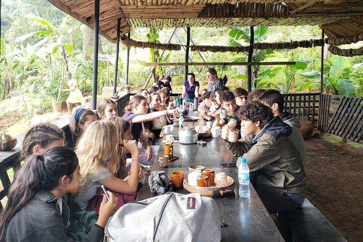 Materuni Waterfall, Coffee Tour and Picnic Hot Lunch