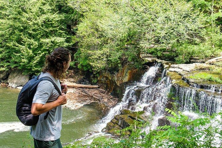 Waterfall Wonders Hiking Tour with Brewery Stop from Nashville