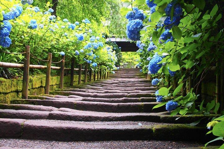 4-hour Private Tour of Kamakura with Government-Licensed Guide