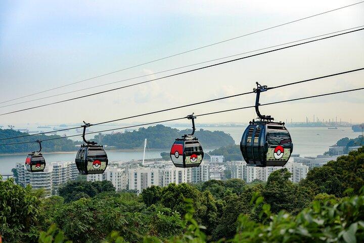 Skip the Line: Singapore Cable Car Sky Pass (Round-Trip)