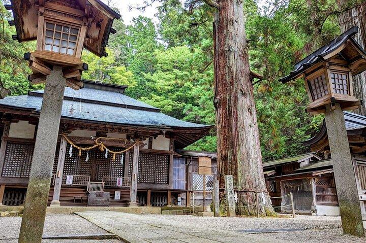Full-Day Tour: Immerse in Takayama's History and Temples