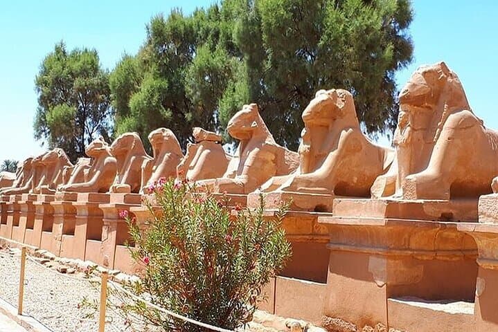 Luxor private full day tour east and west Luxor