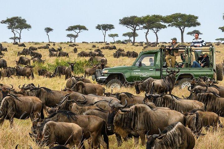 3 Day Luxury Safari in the Heart of Serena Mara