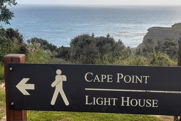 Explore Table Mountain, Meet Penguins and Discover Cape Point