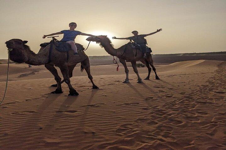 3-Day Trip from Fez to Marrakech via Merzouga Desert
