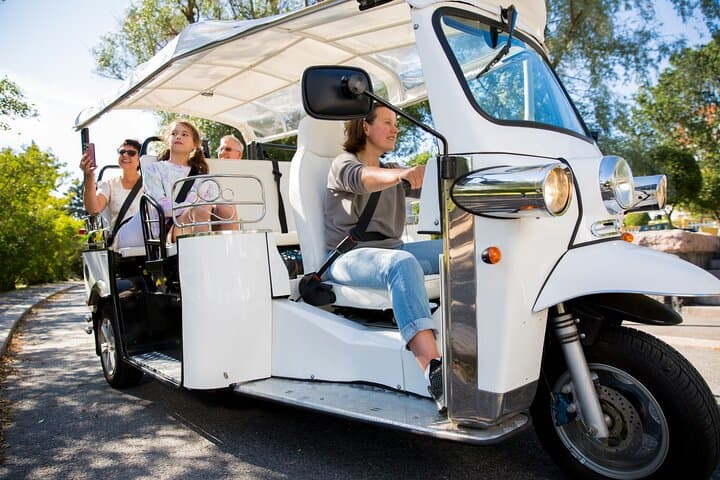 Private Electric Tuk Tuk Tour in Rome