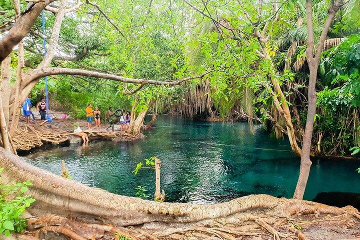 Materuni Waterfalls, Coffee Tour and Hot Springs