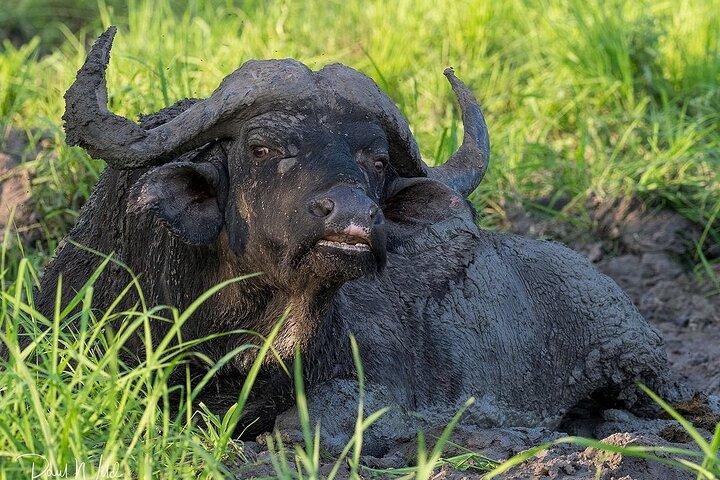 10 Days Private Safari Tour in Tanzania