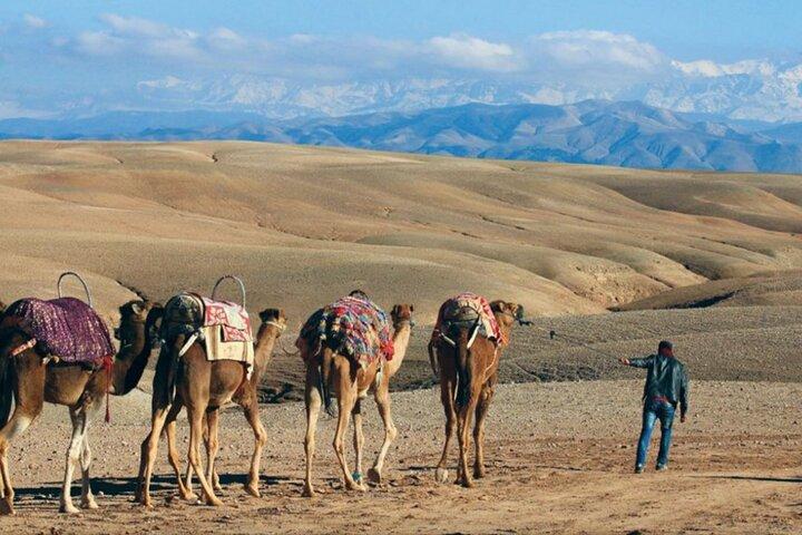 Explore Camel Ride and Quad Bike with Spa Day in Marrakech