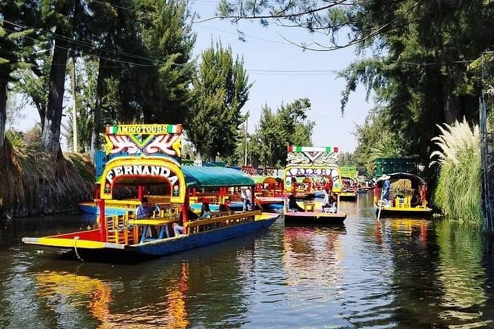 Private Tour to Frida Khalo Museum / Xochimilco / Anahuacalli