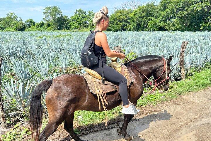 Horseback Riding & Swim: Tequila Tasting, BBQ & Margaritas