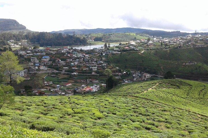 Private Full Day Tour to Nuwara Eliya from Kandy