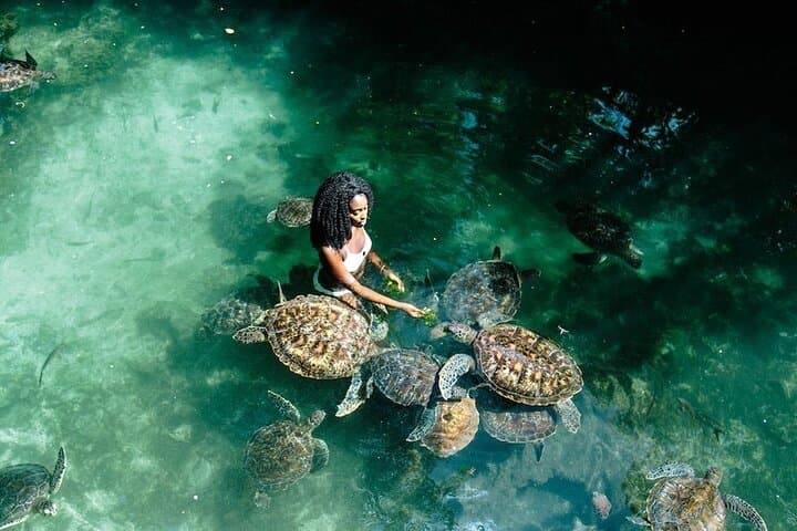 Full day Private Hidden Beach Escape