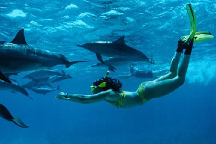 Full day Private Hidden Beach Escape