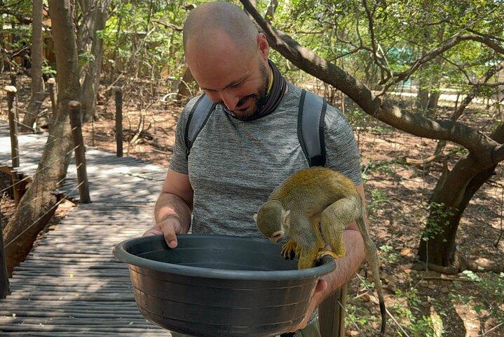 Elephant & Monkey Sanctuary Tour from Johannesburg