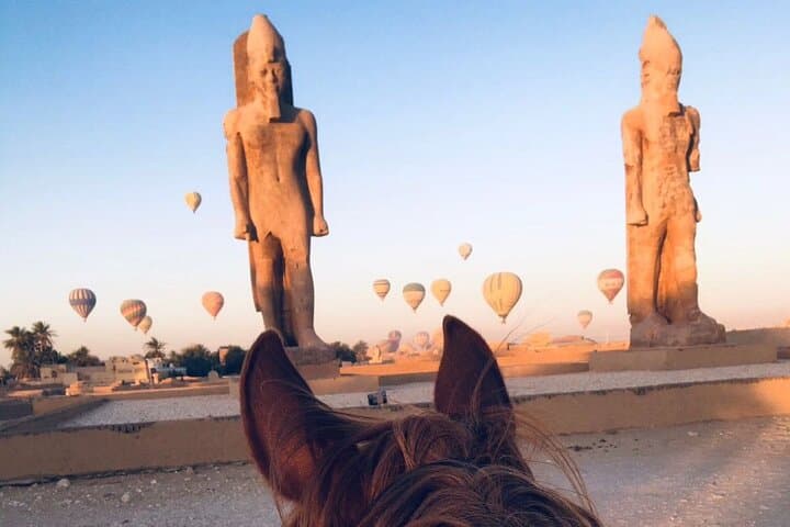Private Horse Riding Tour in Luxor West Bank