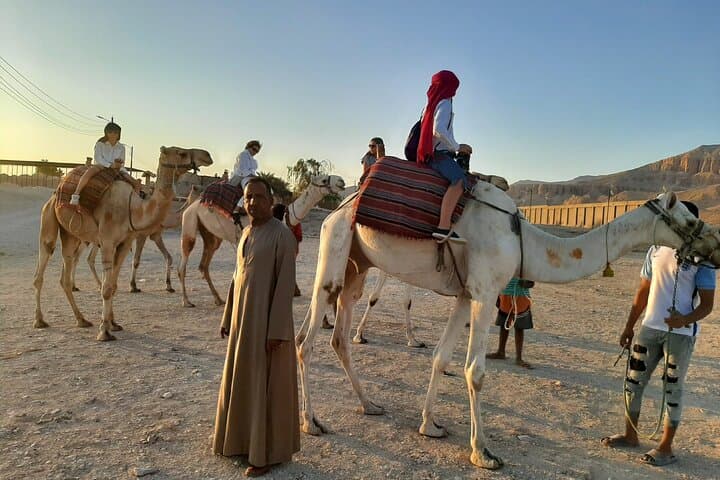 Camel Riding Tour in Luxor West Bank