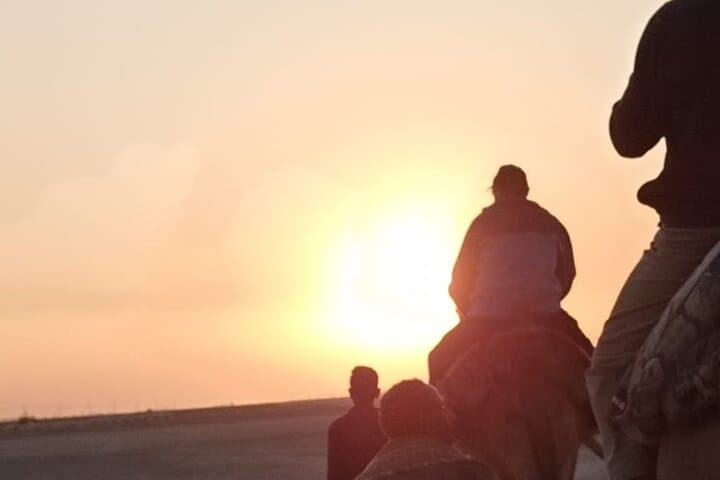 Camel Riding Tour in Luxor West Bank