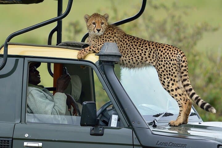 Nairobi Safari 6 Days Shared Group
