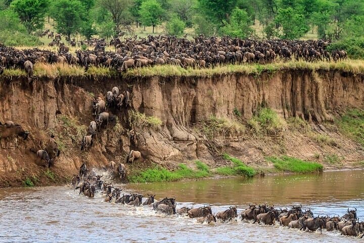 3 Days Maasai Mara Camping Safari on 4x4 Land Cruiser Jeep