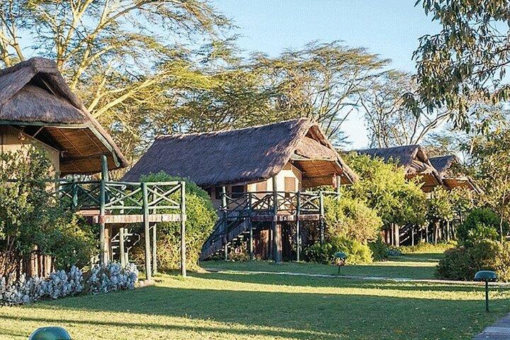 Day Tour to Olpajeta Conservancy from Nairobi With 4*4 Vehicle