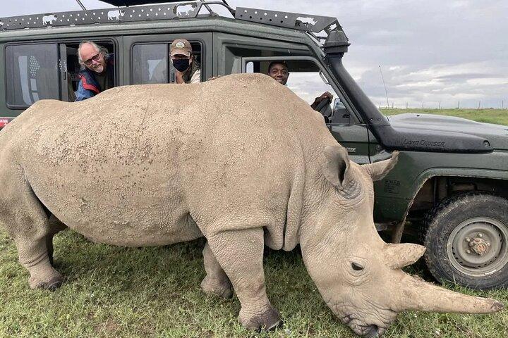 8 Days Kenya Flying Safari Tour with Serena Lodges Accommodation