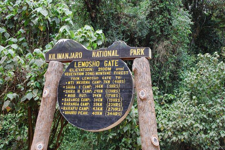 8 Day Kilimanjaro Lemosho Climb
