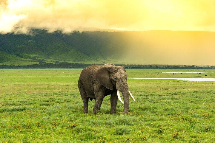 A Private Day Trip to Ngorongoro Crater