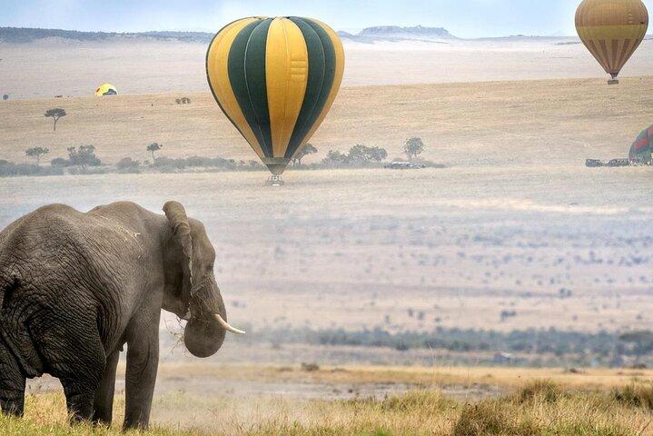 3 Days Private Tour in Maasai Mara With 4*4 Vehicle
