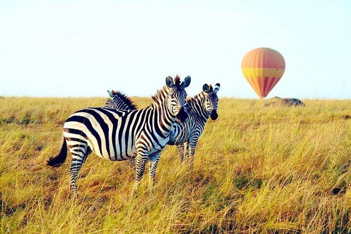 3 Days Private Tour in Maasai Mara With 4*4 Vehicle