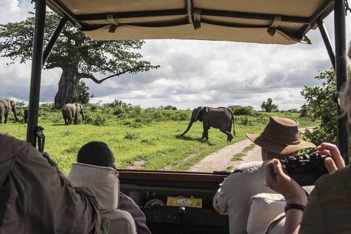 6 Days Rift Valley Lakes and Masai Mara Safari on 4x4 Jeep