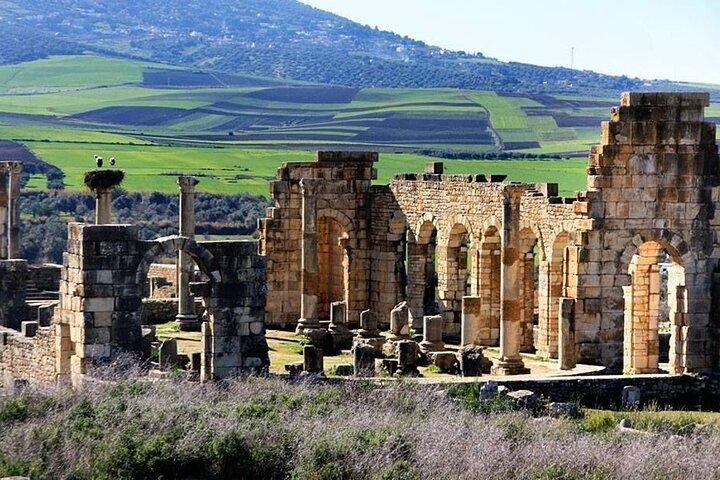Fes to Volubilis, Moulay Idriss and Meknes private day trip