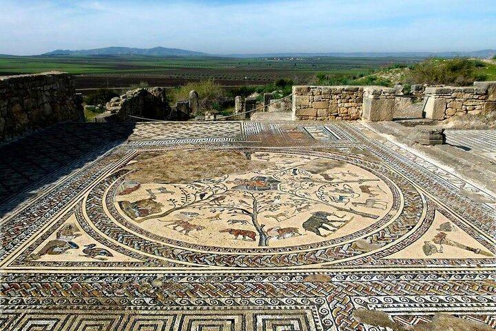 Fes to Volubilis, Moulay Idriss and Meknes private day trip