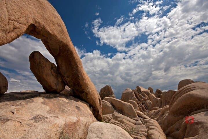 Self-Guided Driving Audio Tour in Joshua Tree National Park