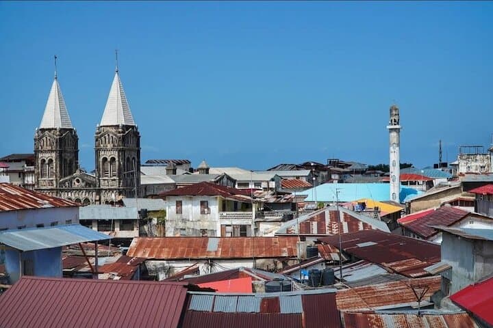 Ultimate Mnemba Dolphins, Spice Farm & Stone Town Day Tour