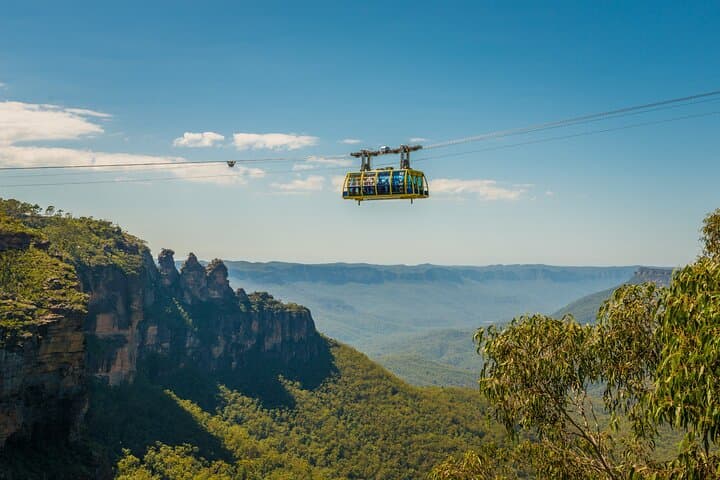 Blue Mountains Adventure w Scenic World, Zoo, Koala Photo & Ferry