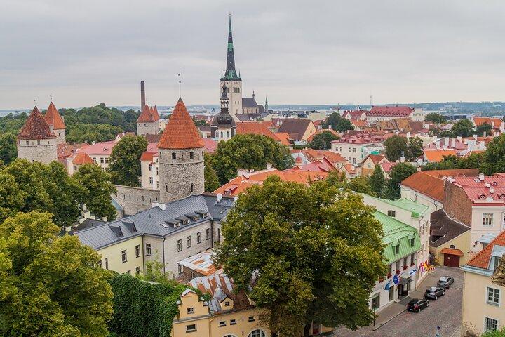 Full Day Private Shore Tour in Tallinn from Tallinn Cruise Port