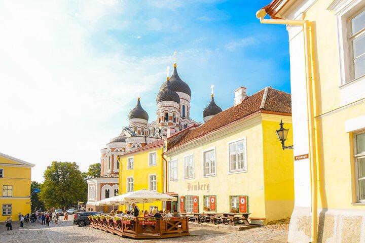 Full Day Private Shore Tour in Tallinn from Tallinn Cruise Port