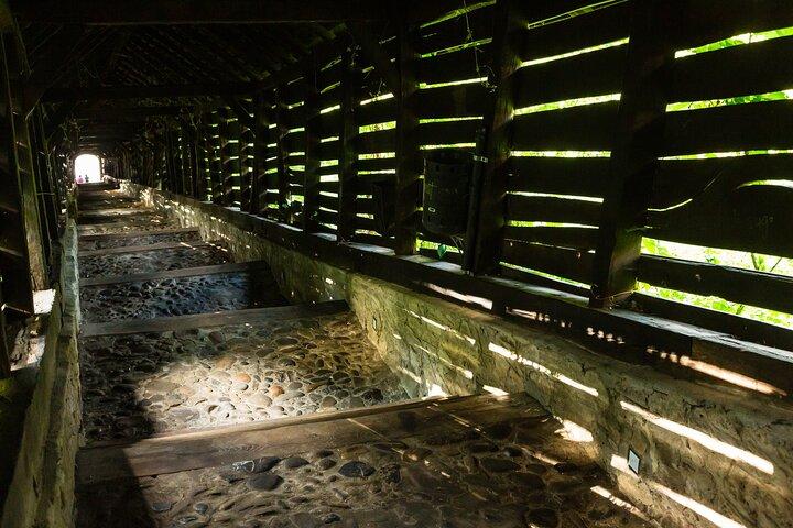 Sighisoara Fortress Quest: Exploration Game and Tour