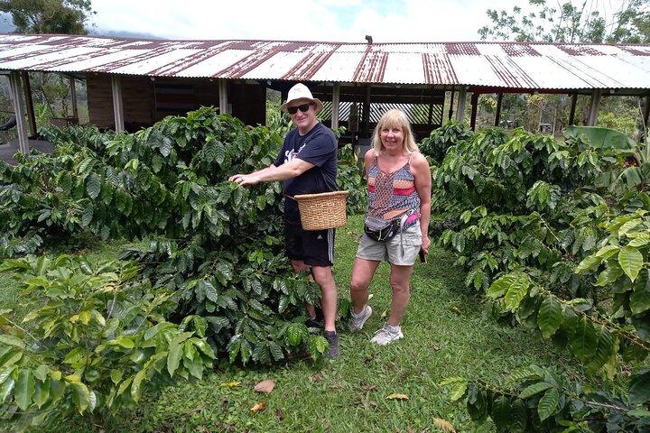 Cultural: Coffee & Chocolate Tour + Wildlife Watching