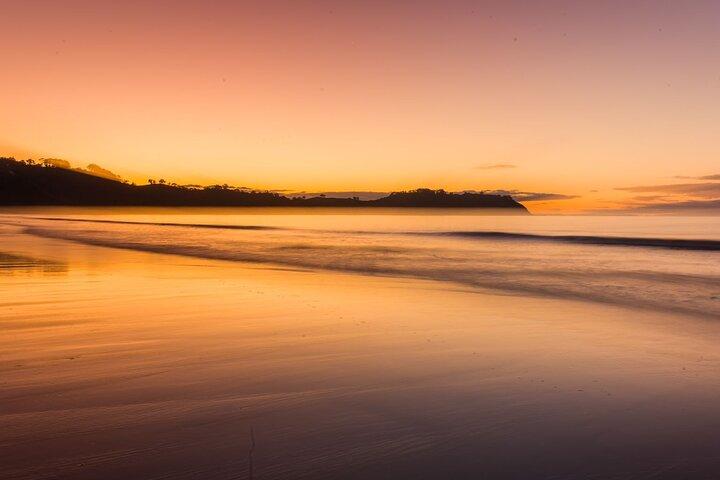 4 hours Sunset Tour on Waiheke Island