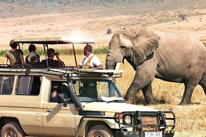 3 Days Masai Mara Classic Wildlife Safari on 4WD Jeep