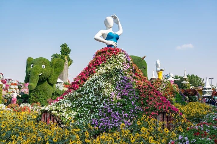 Miracle Garden and Butterfly Garden Combo