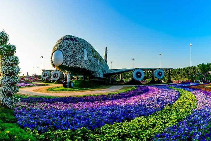 Miracle Garden and Butterfly Garden Combo
