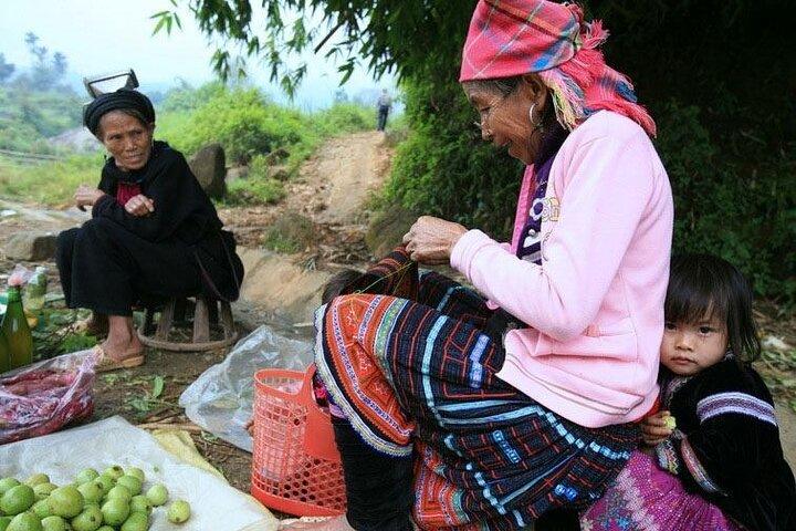 From Sapa: 1 Day Trekking to Terrace field and local Village